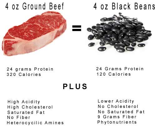 not all protein is equal