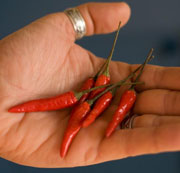 thai chili peppers makes spicy soup